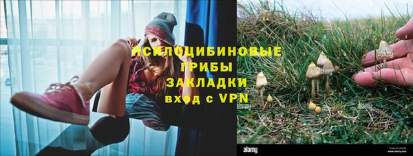 бошки Баксан